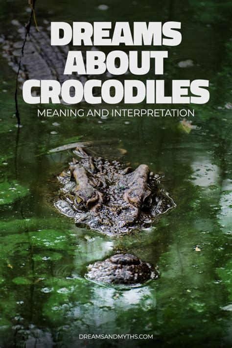 20 Meanings and Interpretations of Dreams About Crocodiles.